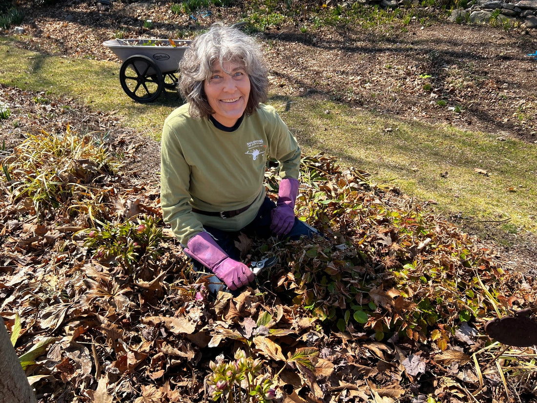 Waking up the Garden in Spring: An Ecological Approach
