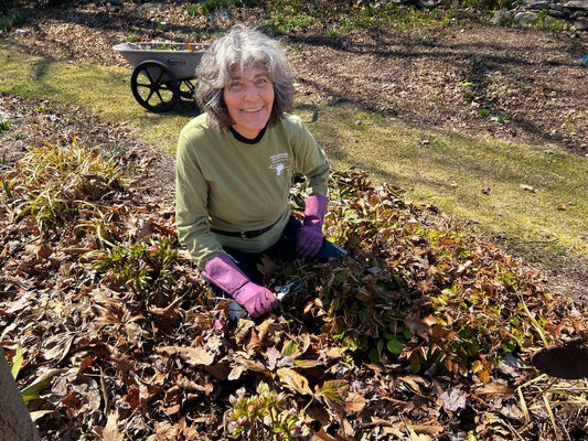 Waking up the Garden in Spring: An Ecological Approach