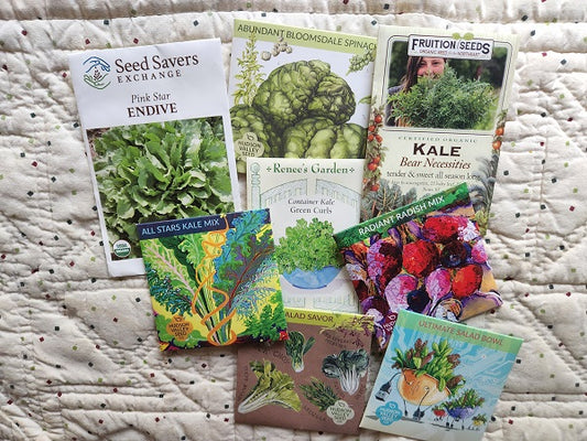 Planting Seeds for Fall Harvests