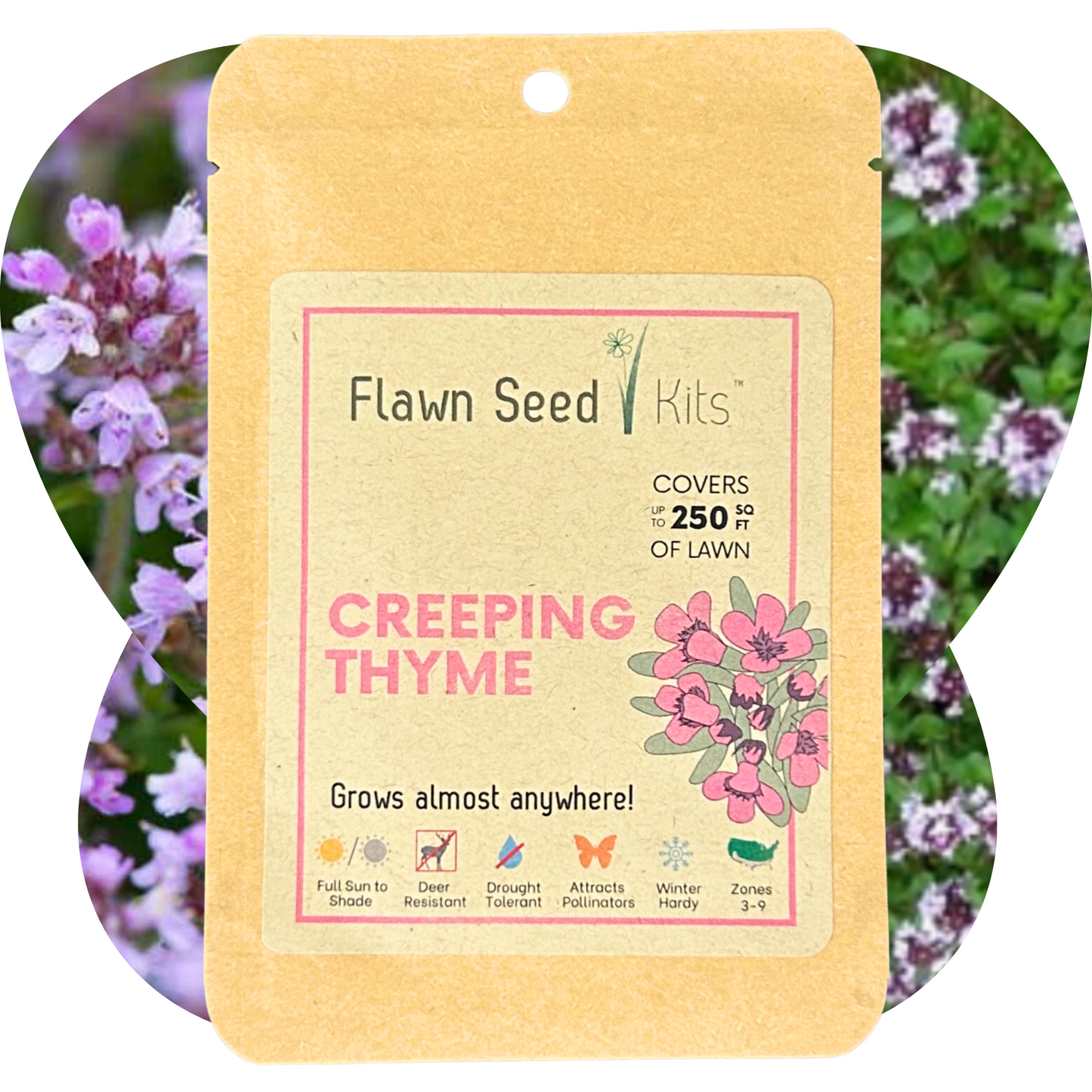 Flowering Lawn Creeping Thyme Seed 250sqft