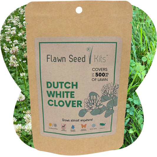 Flowering Lawn Dutch White Clover Seed 500 sqft