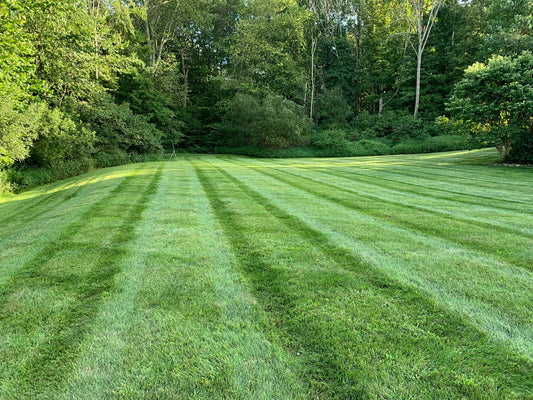 Sustane Organic Lawn 4 Step Spring 2026 Special