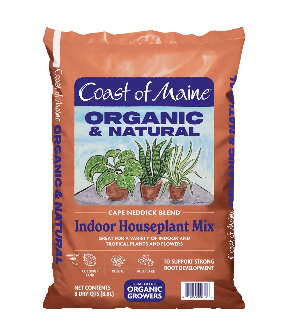 Coast of Maine Cape Neddick Houseplant Mix