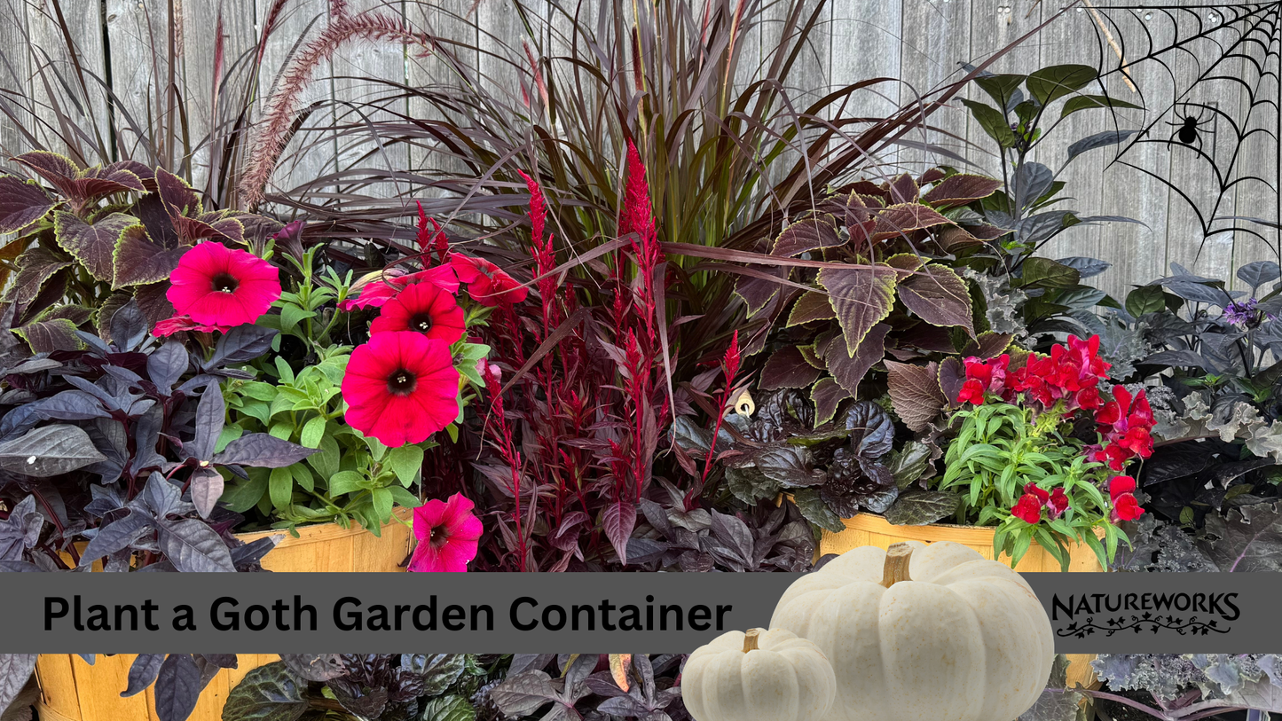 Workshop, Goth Garden