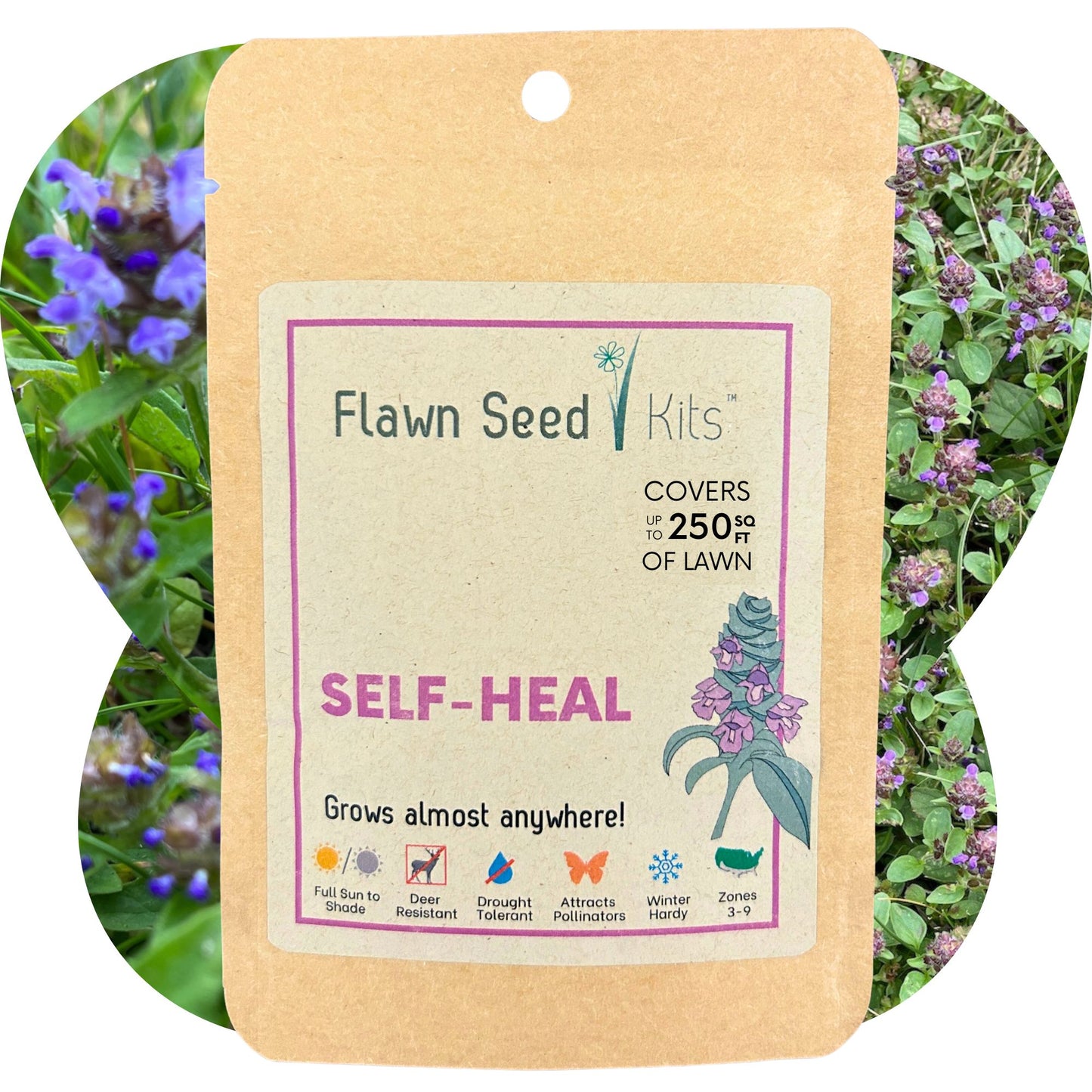 Flowering Lawn Self Heal Seed 250sqft
