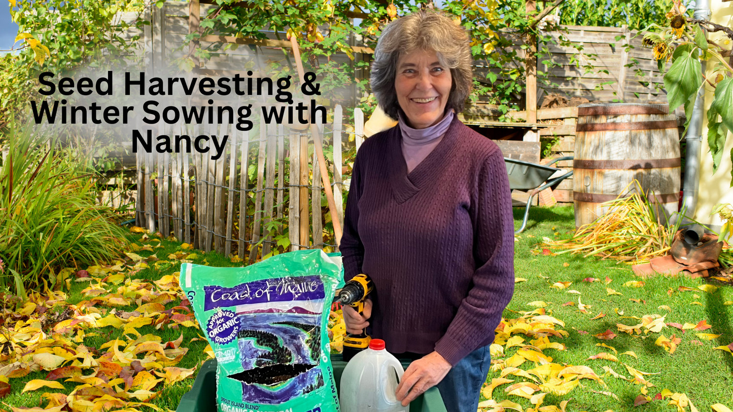 Workshop, Seed Harvesting & Winter Sowing