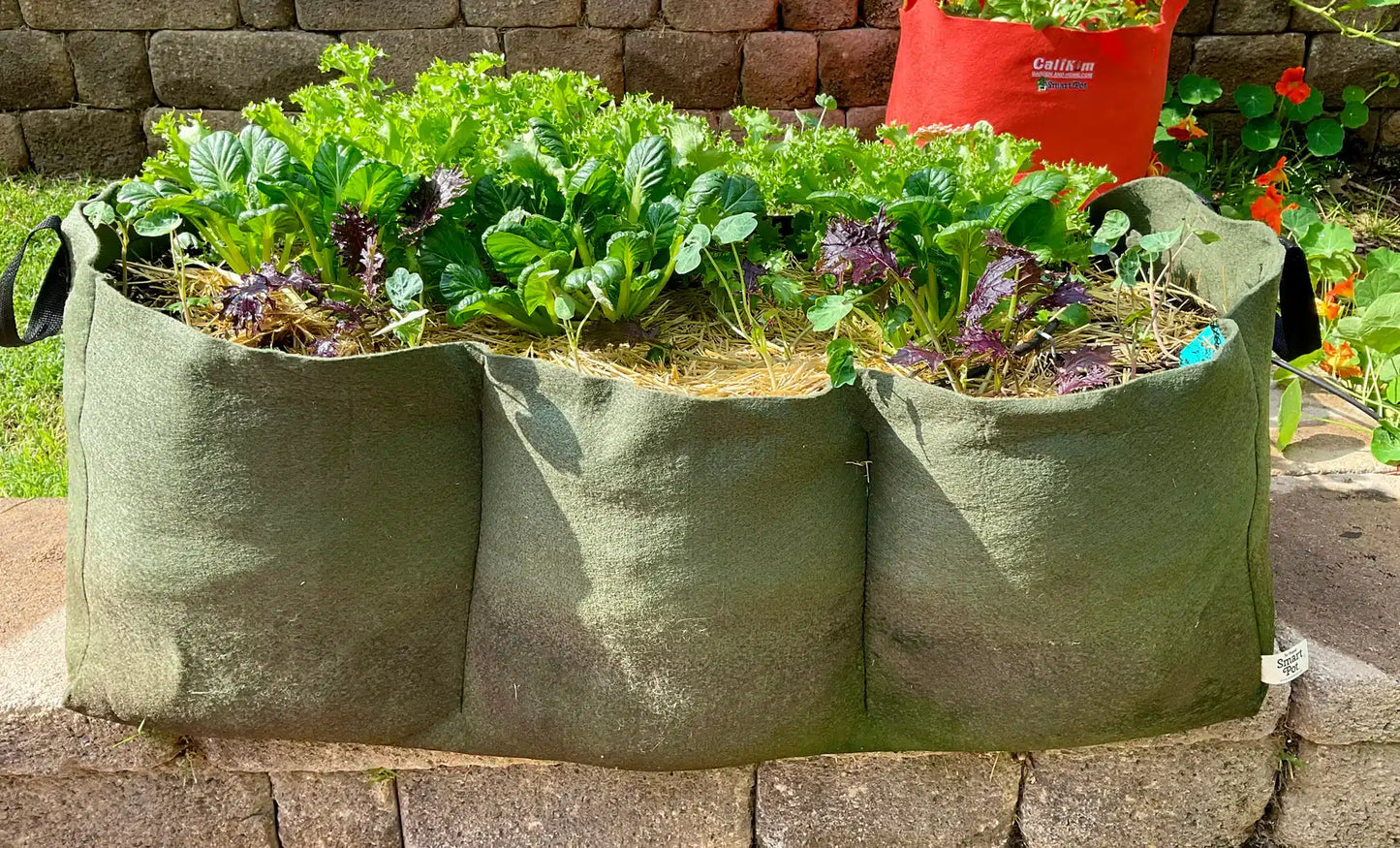 Smart Pot Urban Collection Lil' Shorty 3' long