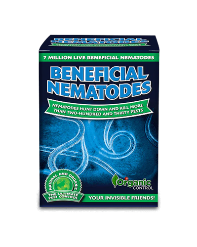 Beneficial Nematodes/Grub Control 7 Million
