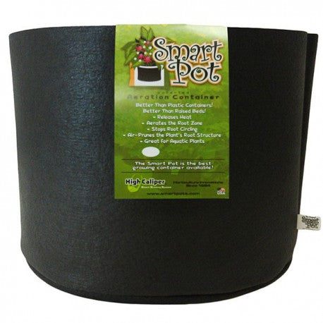 What plants grow well in a 1-gallon fabric pots?