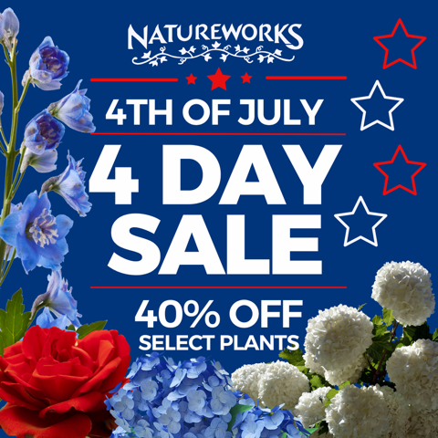 4th of July 40% off Sale on Select Plants