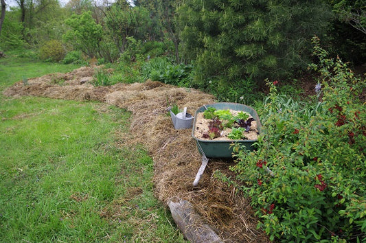 Passive Bed Preparation