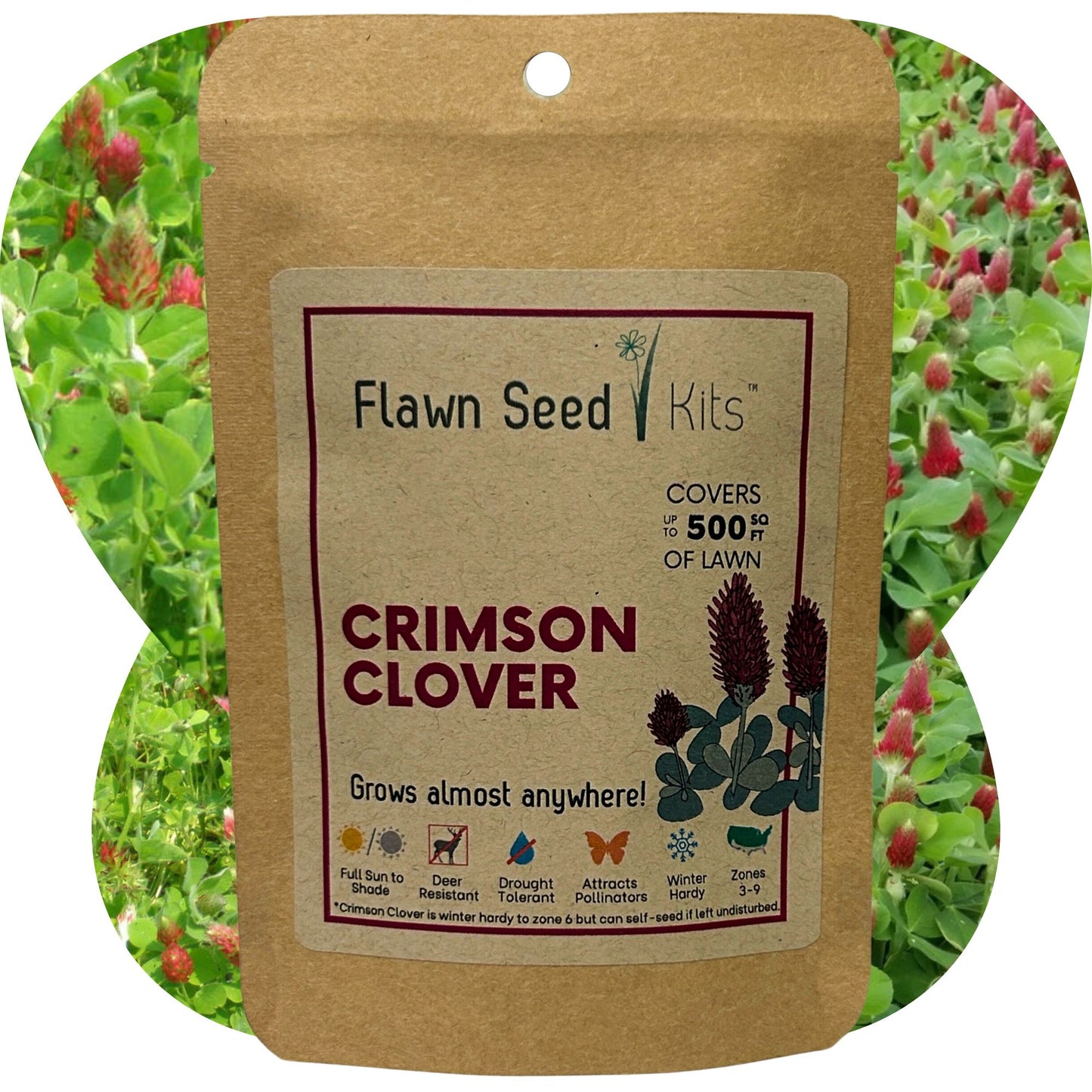 Flowering Lawn Crimson Clover Seed 500sqft