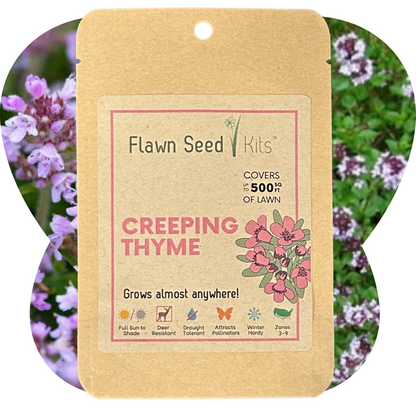 Flowering Lawn Creeping Thyme Seed 500sqft