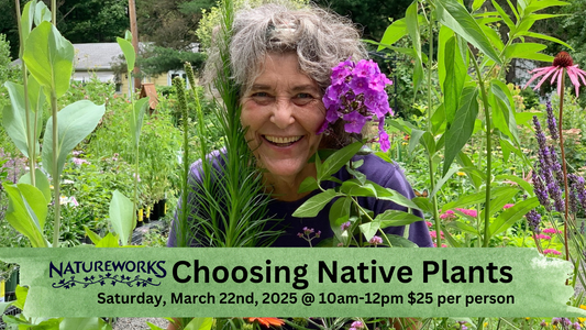 Choosing Native Plants Workshop