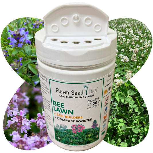 Flowering Lawn Bee Lawn Kit 500sqft 11oz Shaker