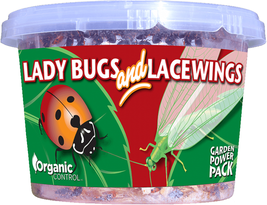 Ladybugs and Lacewings