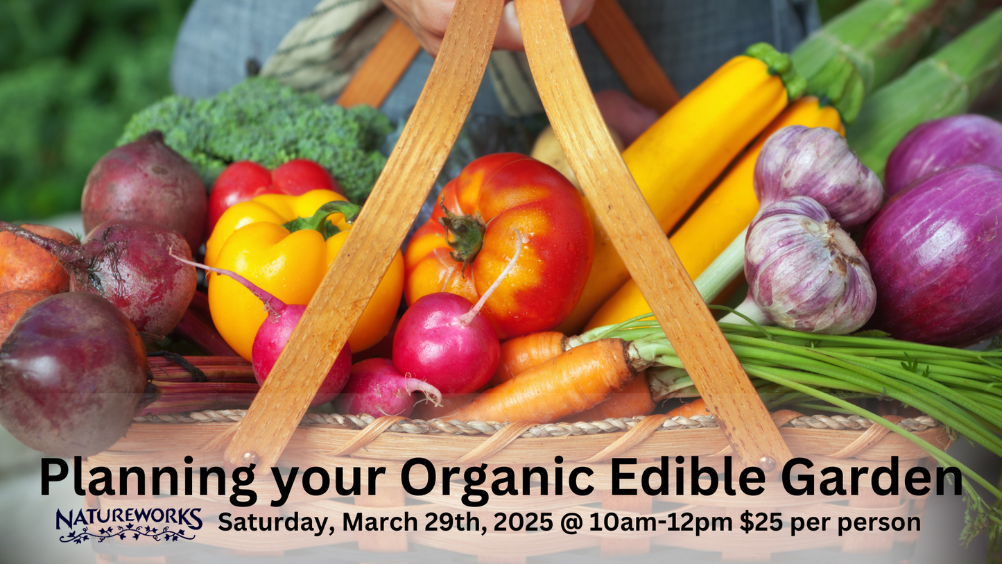 Planning your Organic Edible Garden Workshop