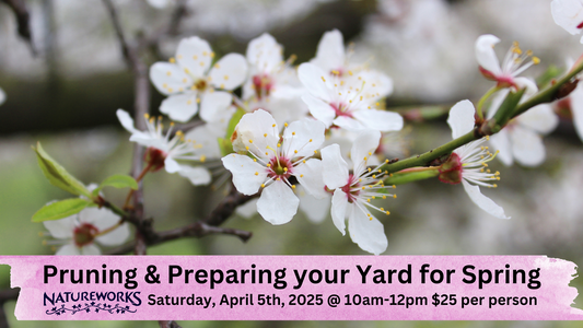 Pruning & Preparing your Yard for Spring Workshop