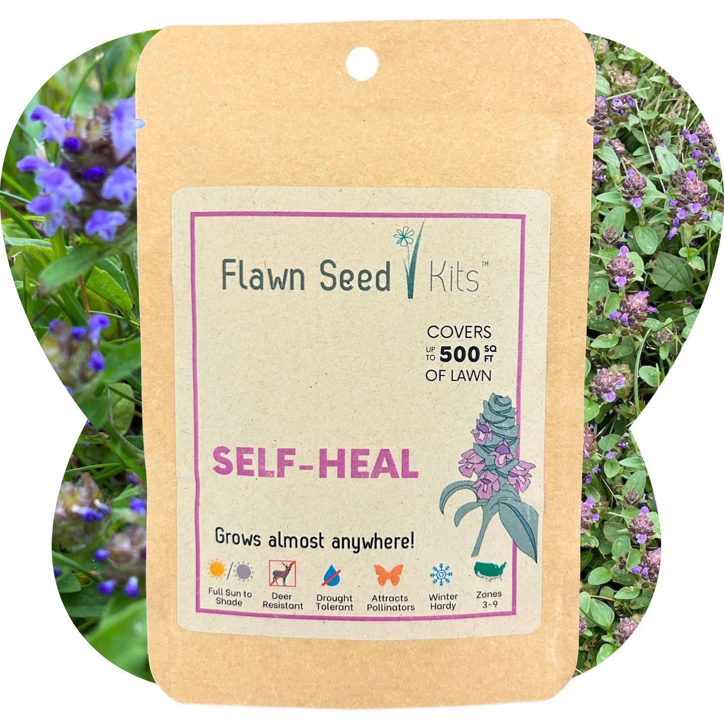 Flowering Lawn Self Heal Seed 500sqft