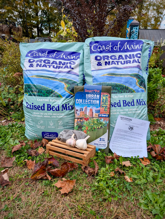 Organic Garlic Beginner Bundle