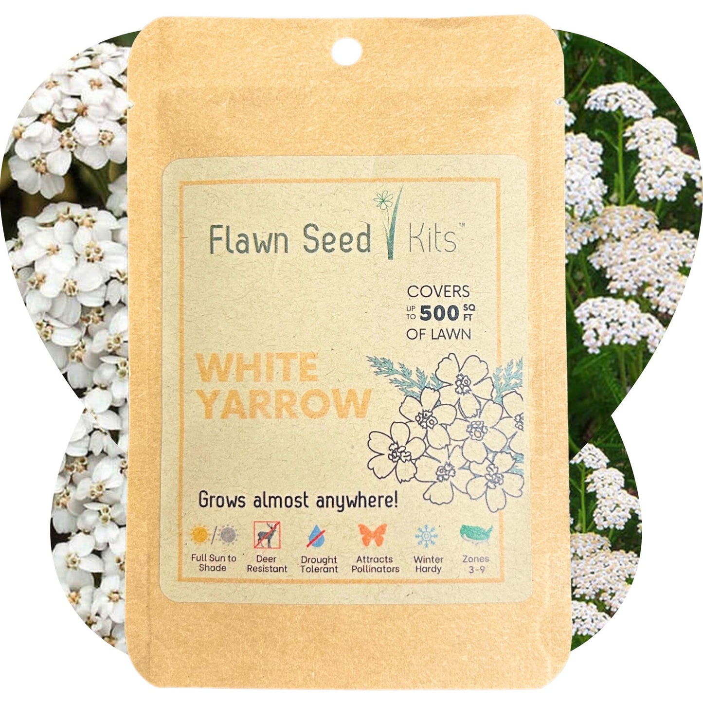 Flowering Lawn White Yarrow Seed 500sqft