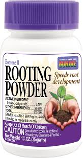 Rooting Powder BonTone 1.25oz