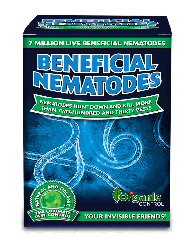 Beneficial Nematodes 7 Million